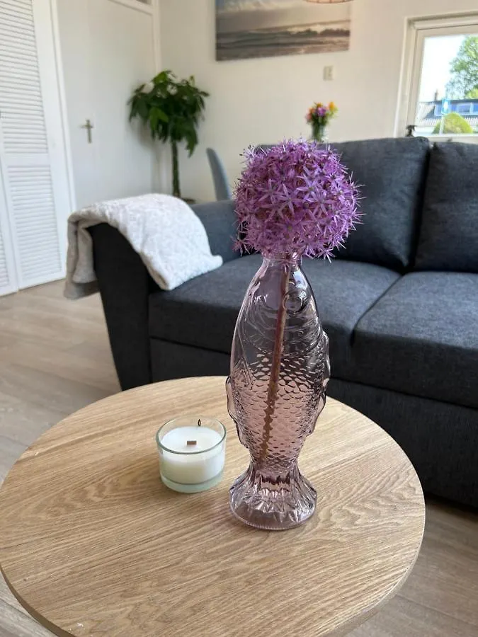 Amsterdam Beach Apartment 17, Incl Parking + Garden Zandvoort Netherlands